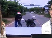 Thaïlande incroyables histoires serpents-Sur route