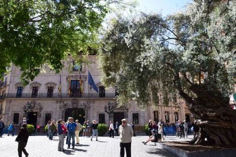 Palma de Majorque, un centre ancien au charme fou