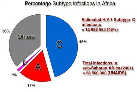 VACCIN anti-VIH : Développement d'un immunogène contre le sous-type C – Immunity