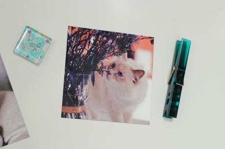 Des idées cadeaux grâce à Photobox