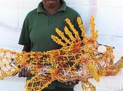 Focus sculpture aborigène &quot;Poisson pierre&amp;quot; exposée l'aquarium Paris jusqu'au août 2017