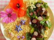 Salade printanière colorée (Vegan)