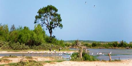 Le bien-être à Ceylan
