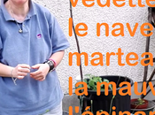 plantes vedette navet marteau, mauve, épinard d'Asie (vidéo)