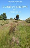 http://www.lesperlesdekerry.fr/2017/05/chronique-lurne-de-xalanor-tome-1-la.html