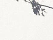 Chronique fiancée facteur"