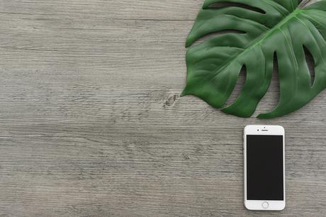 Pleed : la déception Pleed la déception