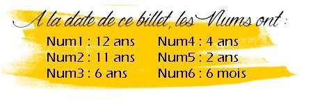 { Num6 } 6 mois après ton arrivée …