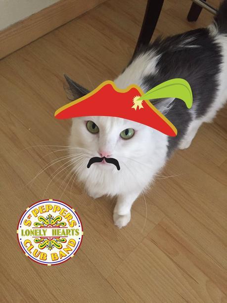 Quand les Beatles jouent avec les fans ! Quand les Beatles jouent avec les fans !