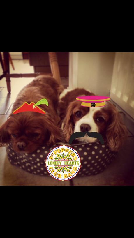 Quand les Beatles jouent avec les fans ! Quand les Beatles jouent avec les fans !