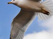 désir éveil conscience