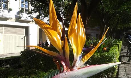 Pays étranger - Le Sud de l'Andalousie - 2