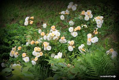 Rétro sur un mois de Mai bien chargé...