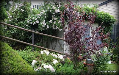 Rétro sur un mois de Mai bien chargé...