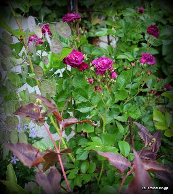 Rétro sur un mois de Mai bien chargé...