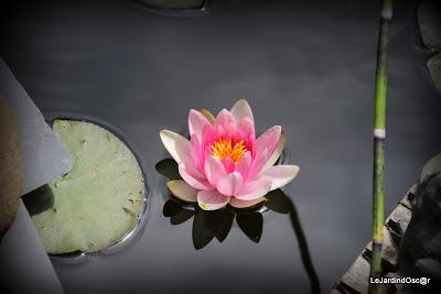 Rétro sur un mois de Mai bien chargé...