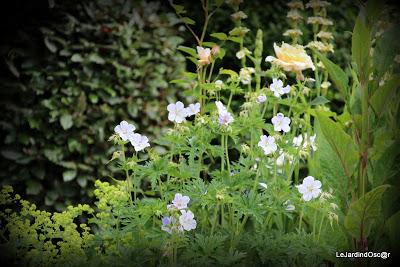 Rétro sur un mois de Mai bien chargé...