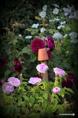 Rétro sur un mois de Mai bien chargé...