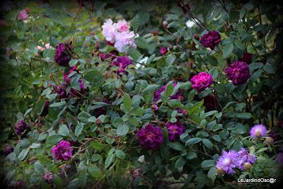 Rétro sur un mois de Mai bien chargé...