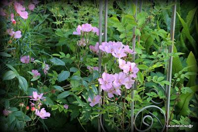 Rétro sur un mois de Mai bien chargé...
