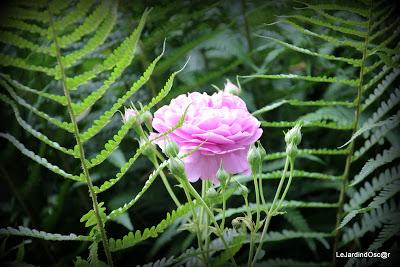 Rétro sur un mois de Mai bien chargé...