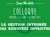 Pour gestion intégrée renouées invasives