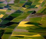 Afrique du Sud : les incohérences de la réforme agraire