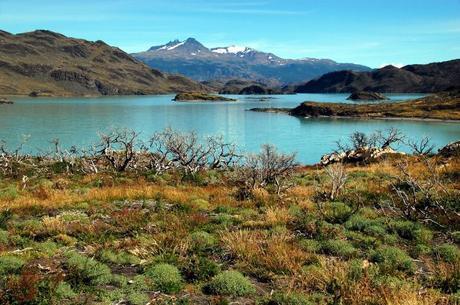 lac patagonie - CC Flikr Davide Zanchettin