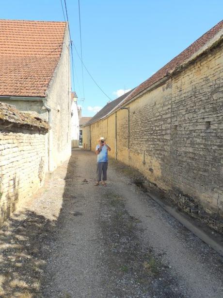 Balade en Corton, la vigne pousse et est en fleur