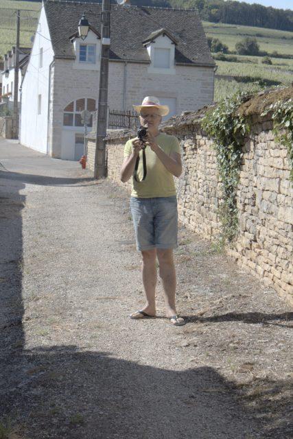 Balade en Corton, la vigne pousse et est en fleur