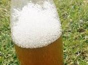 Test lessive (gratos) base lierre