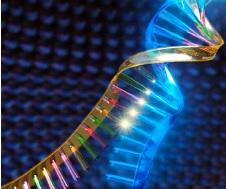 SEPTICÉMIE : Un nouveau test de diagnostic rapide  – of Clinical Laboratory Analysis