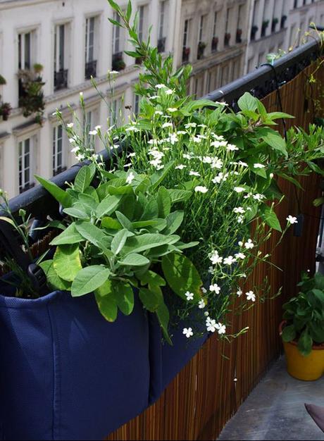 Préparons l’été : un balcon une idee jardiniere ! bacsac idee jardiniere petit balcon parisien