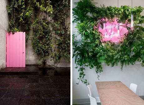 Mur rose pour plantes vertes