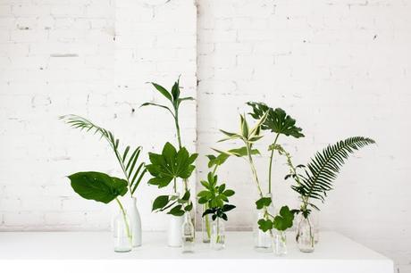 Collectif Project Inside / Couleurs et plantes ... vertes  /