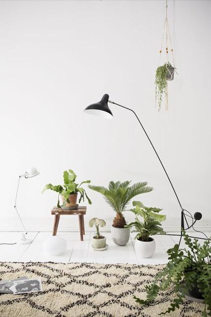 Collectif Project Inside / Couleurs et plantes ... vertes  /