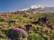 Etrange pays Karel Schoeman