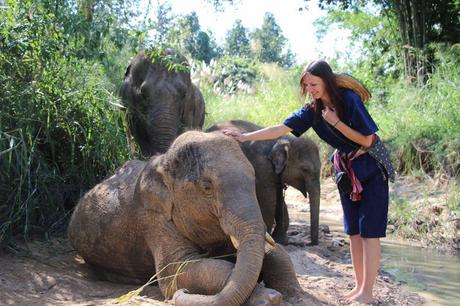 Une journée avec les éléphants à Chiang Mai, vidéo d’un sanctuaire responsable