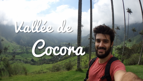 Colombie : À la découverte de la vallée de Cocora !