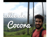 Colombie découverte vallée Cocora
