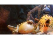 [Annecy 2017] jungle carré gagnant sans prises risque