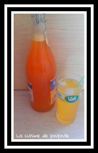 Sirop de melon au thermomix ou sans 