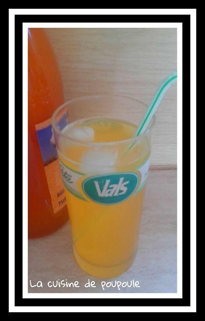 Sirop de melon au thermomix ou sans 