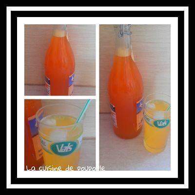 Sirop de melon au thermomix ou sans 