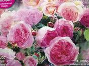 L’Art l’aquarelle