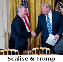 Armes à feu et Congres américain