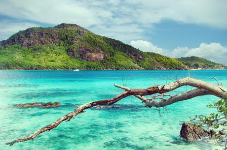 Sailsquare. La meilleure plateforme de mise en relation entre skipper et voyageurs du monde