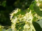 mots cachés soirs juin