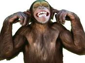 Paradoxe singe savant