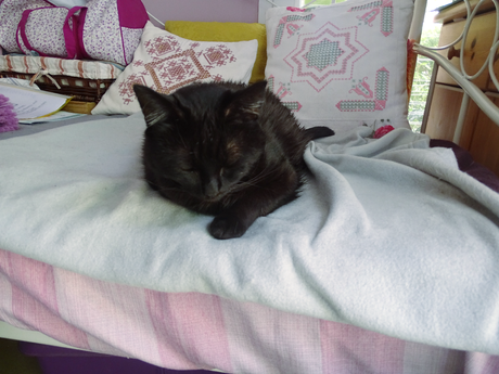 Noiraud va bien ! Noiraud va bien !